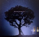 &#225;rbol.jpg