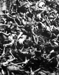 shoah-pile6.gif