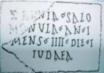 annia salomonula.png