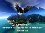 y vi un aguila.jpg