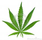 cannabis-leaf-18161737.jpg