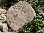Piedra.jpg