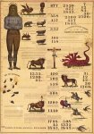 1843-prophecy-chart.jpg