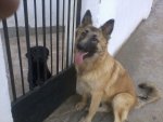 Almendra.jpg