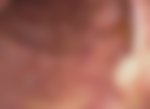 colonblurred.jpg