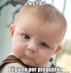 pregunton.jpg