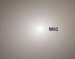 M60-UCD1_Labels300dpi--478x400.jpg