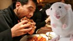 ratas-comer.jpg