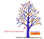 Todo Israel será salvo.jpg