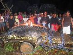 Cocodrilo Gigante.jpg