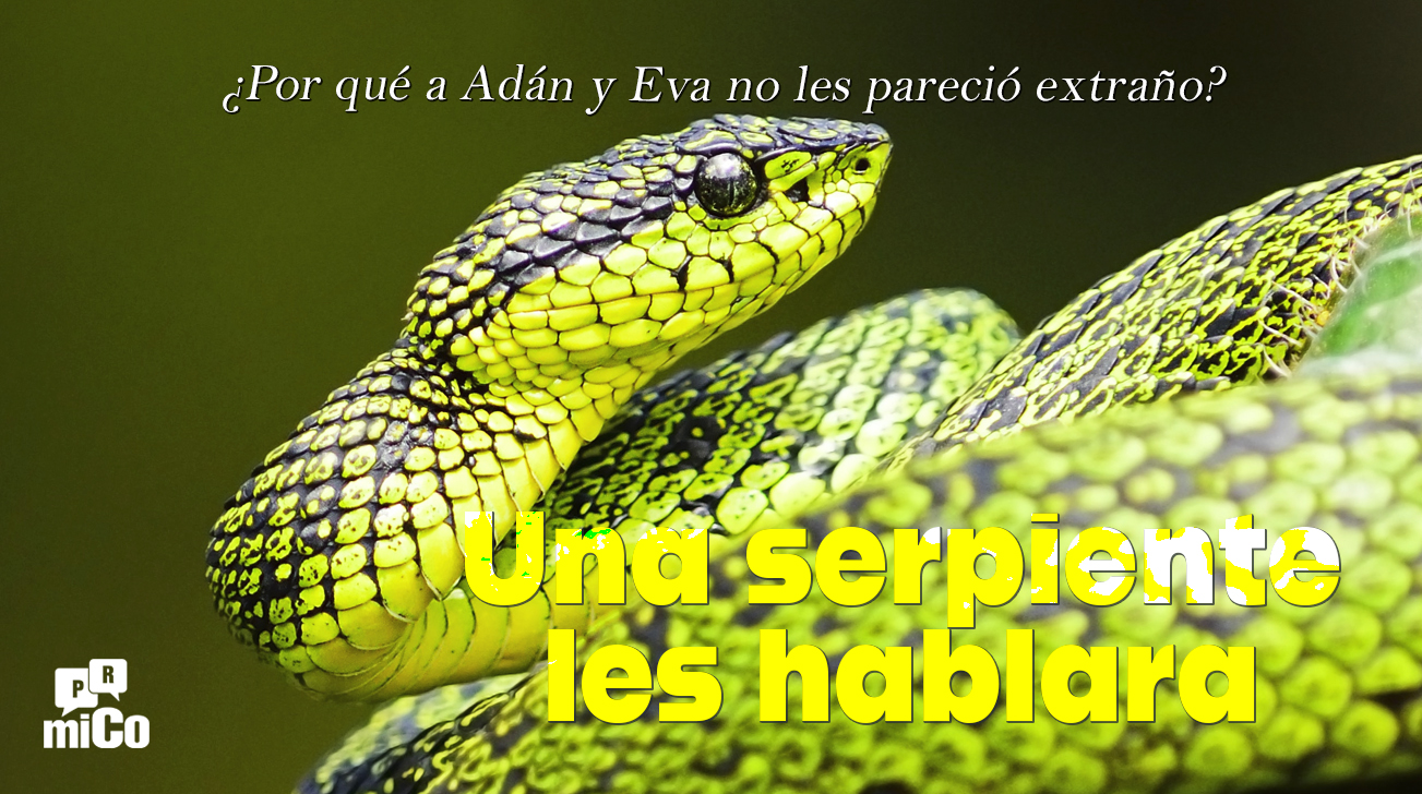 serpiente-hablara.jpg