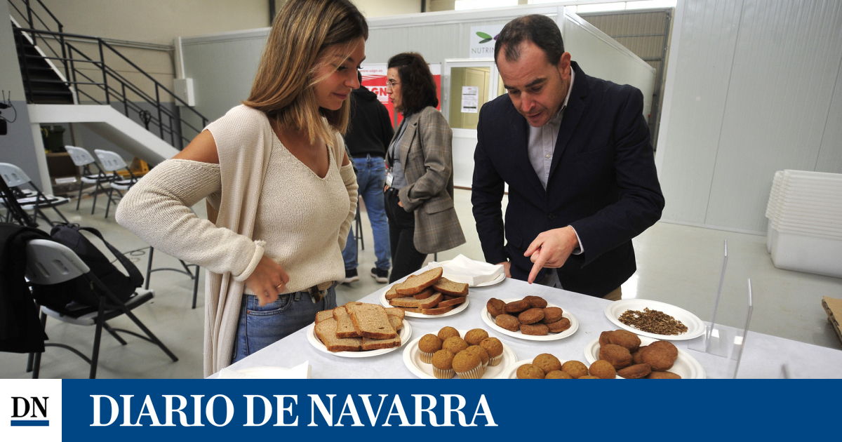 www.diariodenavarra.es