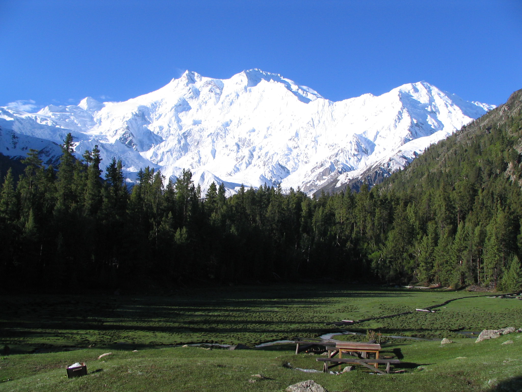 Nanga_parbat%2C_fairy_medow%2C_Pak_by_gul791.jpg