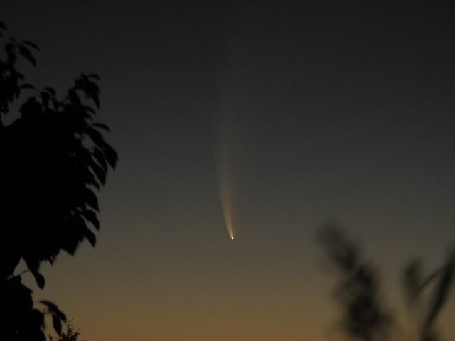 cometa2.jpg