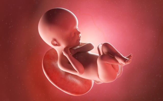 Aborto.jpg