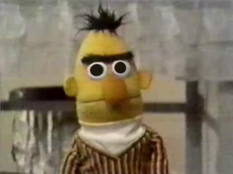 BertStare.jpeg