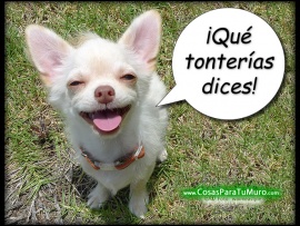 que_tonterias_dices-t2.jpg