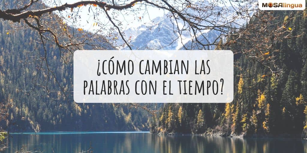 www.mosalingua.com