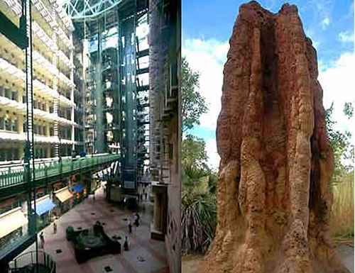 building-modeled-after-termite-mound.jpg