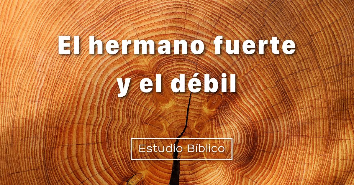 www.escuelabiblica.com