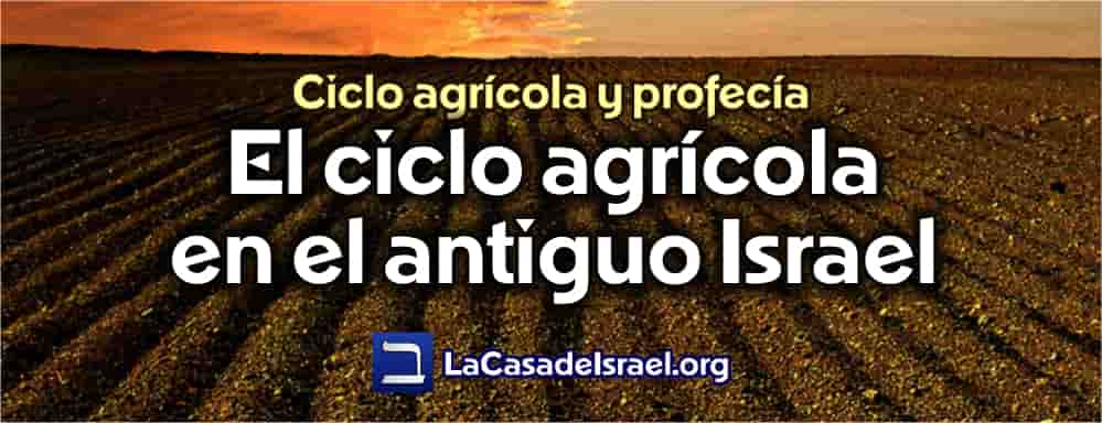 www.lacasadeisrael.org
