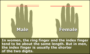 finger1.jpg