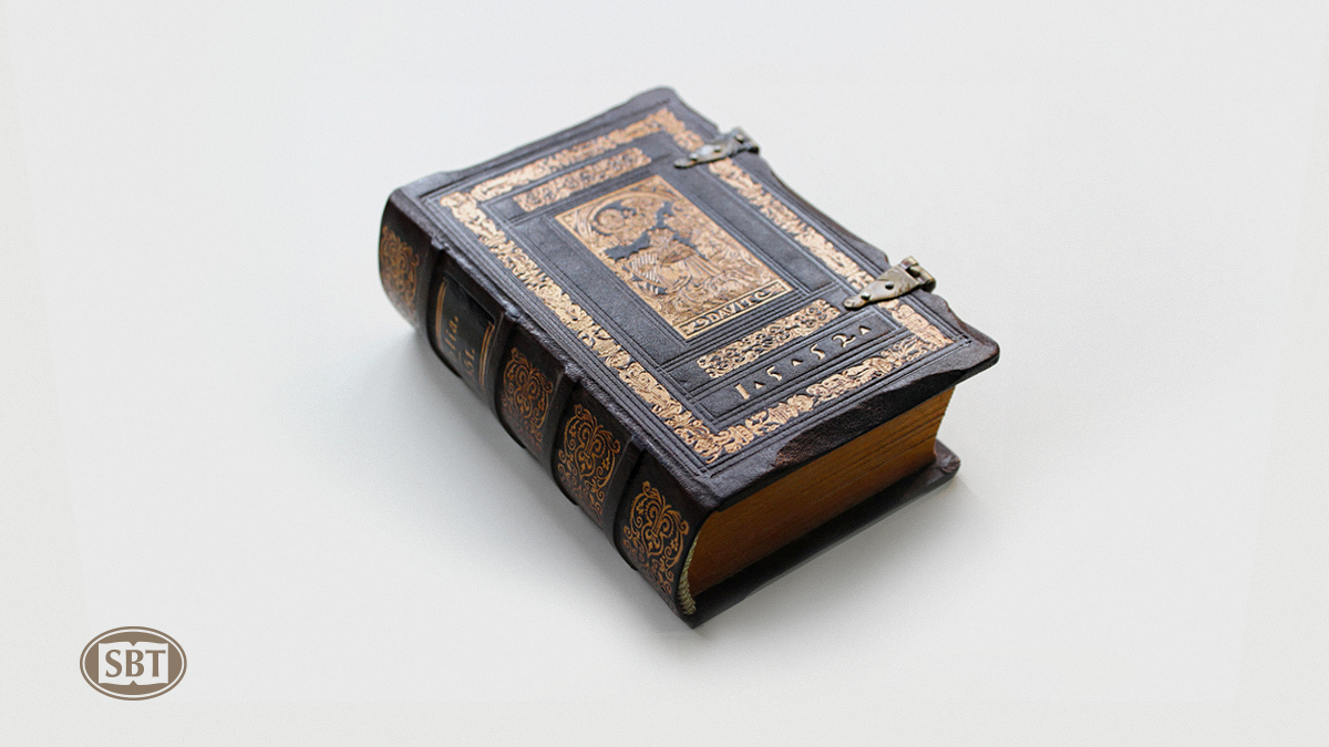 sociedadbiblicatrinitaria.org