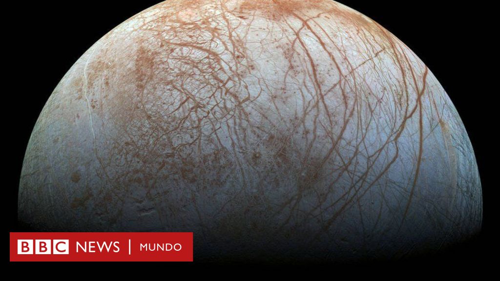 www.bbc.com
