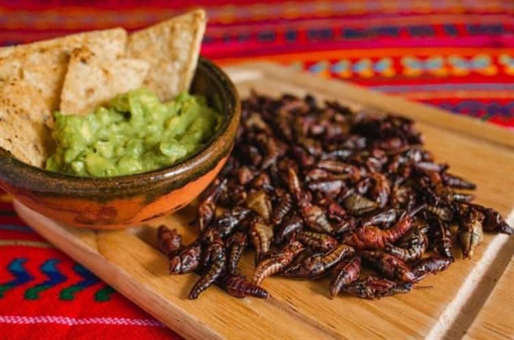 chapulines.jpg