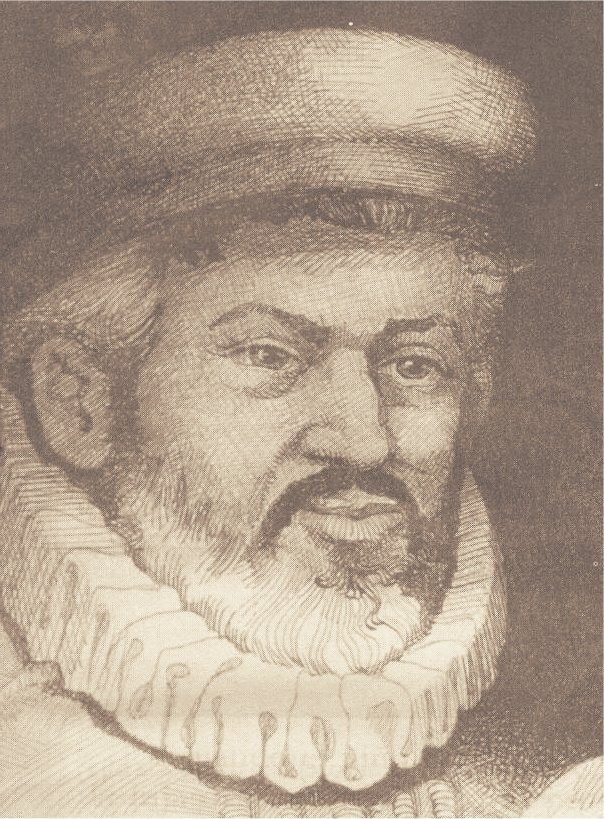 sociedadbiblicatrinitaria.org