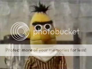bertstare.jpg