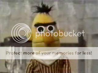 bertstare.jpg