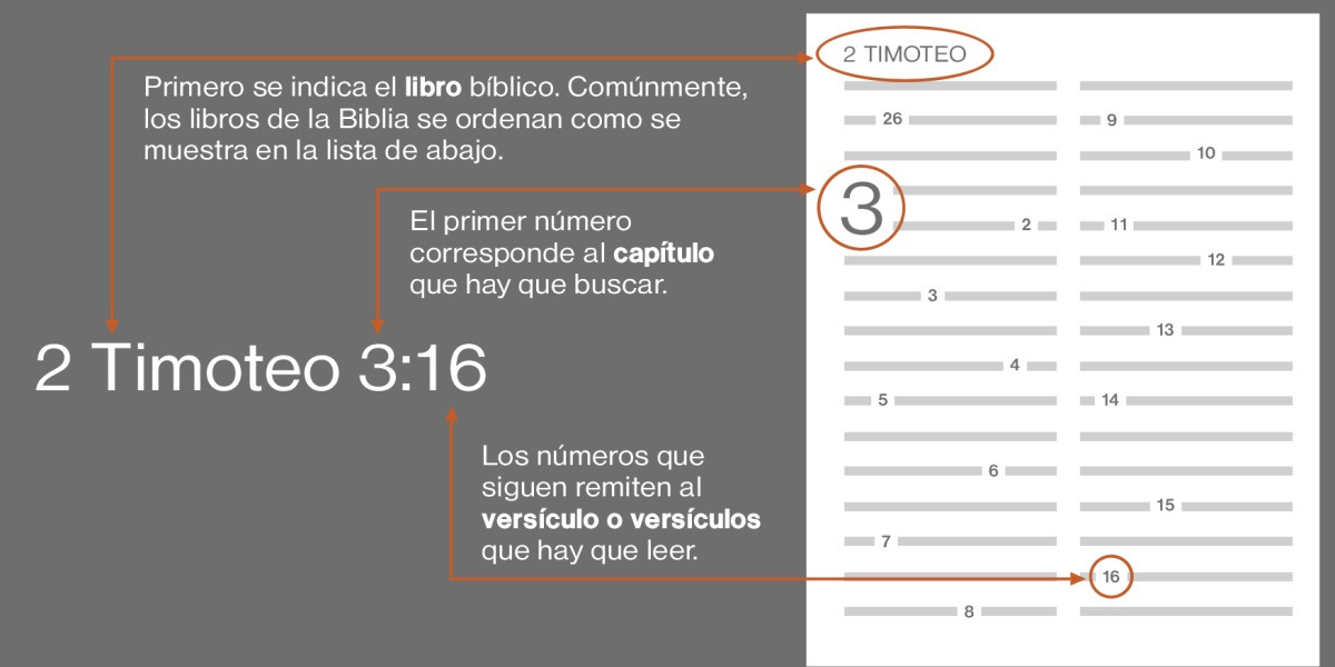 Cómo encontrar un versículo en la Biblia usando como ejemplo 2 Timoteo 3:16. Lo primero que aparece en la referencia es el nombre del libro bíblico, en este caso, 2 Timoteo (vea el orden más común de los libros de la Biblia en la siguiente lista). El primer número indica qué capítulo buscar, en este caso, el 3. El número o números que siguen indican qué versículo o versículos leer, en este caso, el 16.