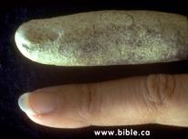 fossil-finger+finger-th.jpg