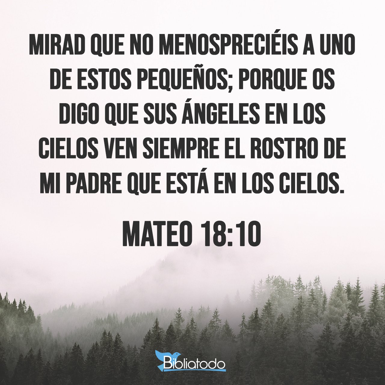 mateo-18-10.jpg