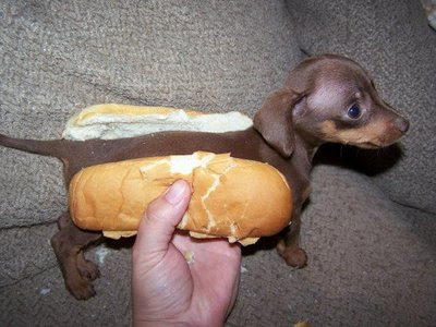 hot-dog.jpg