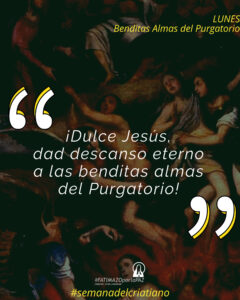 fatimazoporlapaz.org