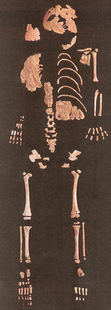 lagarvelho1.jpg