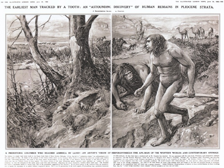 1271-Illustrated-London-News-Hesperopithecus.jpg