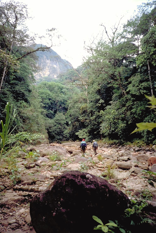 Rio%20Saguayo%201%20(500x750).jpg