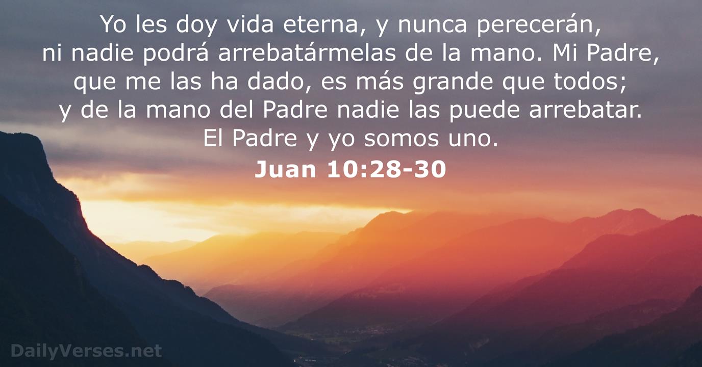 dailyverses.net
