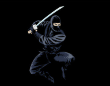 ninjas-image-01%2520copy.jpg