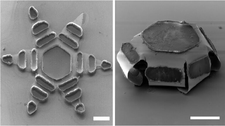nano-researcherse-768x432.jpg