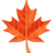 🍁