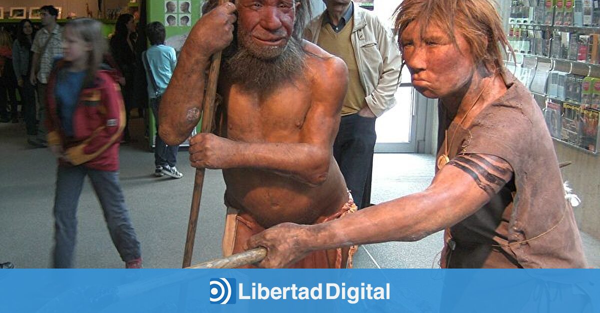 www.libertaddigital.com