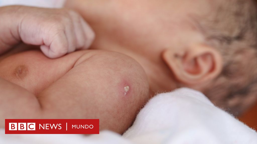 www.bbc.com