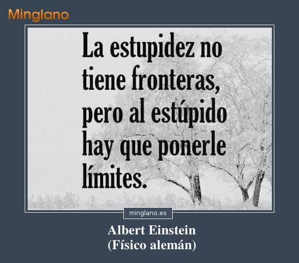 frases-de-la-estupidez-del-ser-humano-1575885245.jpg