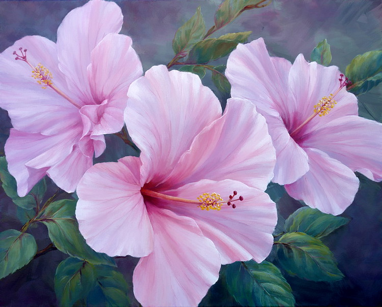 20_mariannebroome-pinkhibiscus.jpg