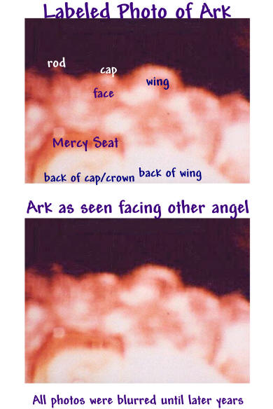 ArkCovBlurred.jpg