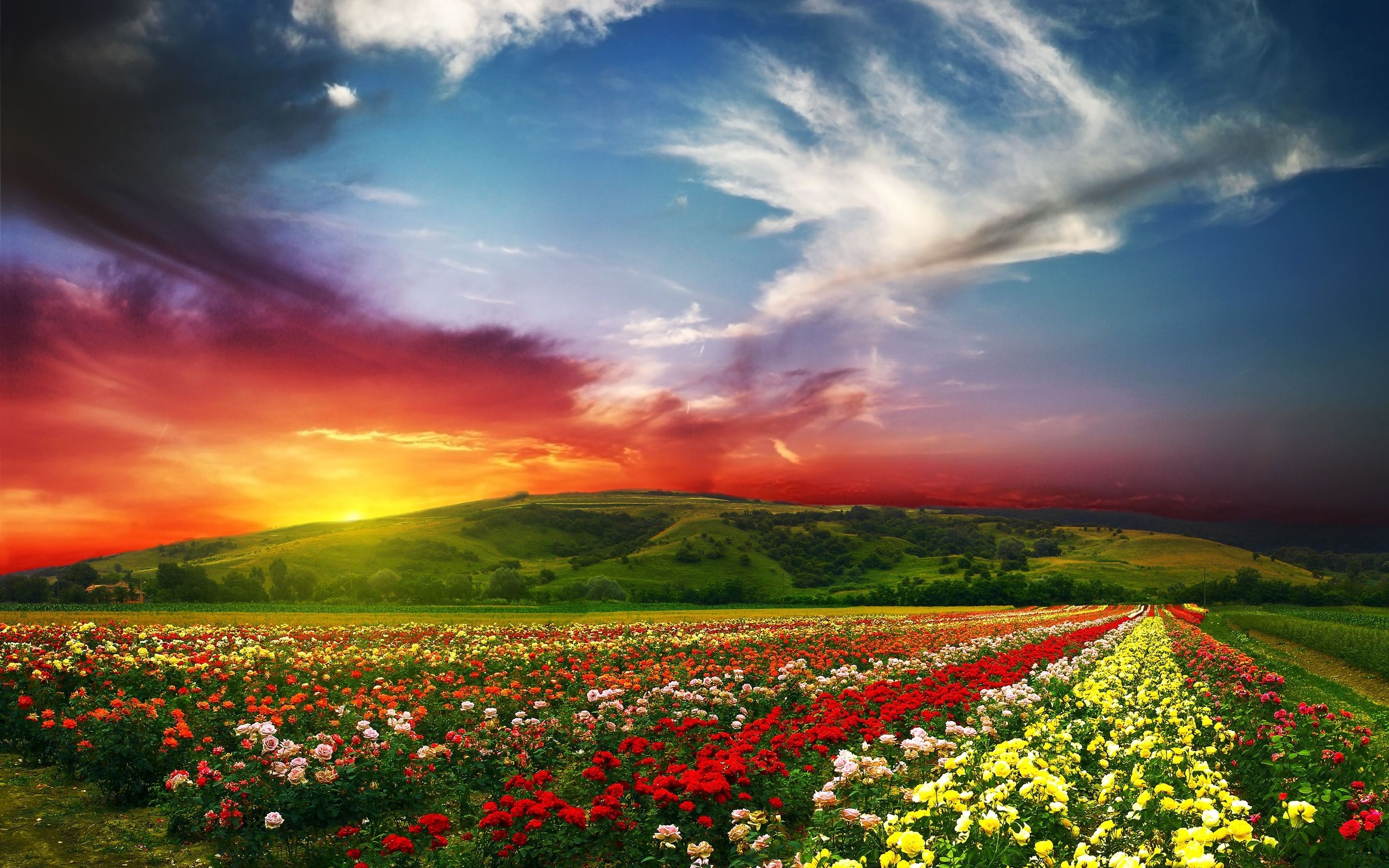 lovely-nature-landscape-2560x1600-wallpaper-8193.jpg